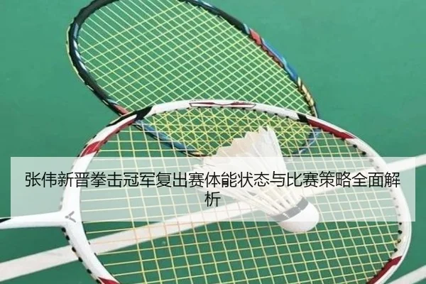 张伟新晋拳击冠军复出赛体能状态与比赛策略全面解析